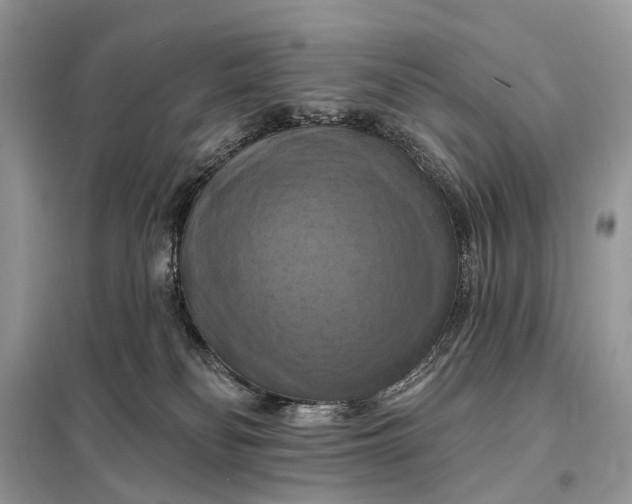 X0000098210134200805081143