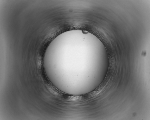 X0000098210135200805081143