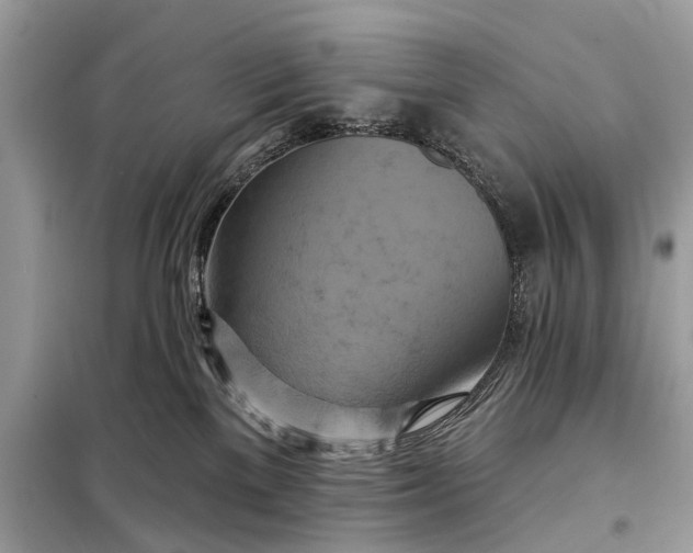 X0000098210137200805081143