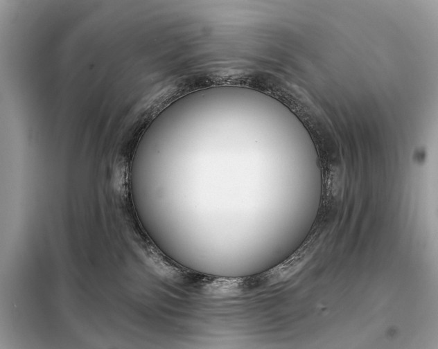 X0000098210138200805081143
