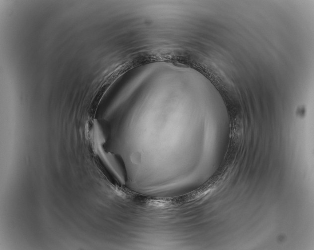 X0000098210139200805081143