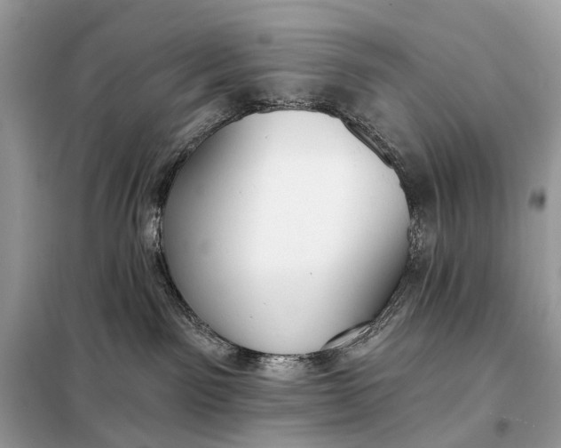 X0000098210141200805081143