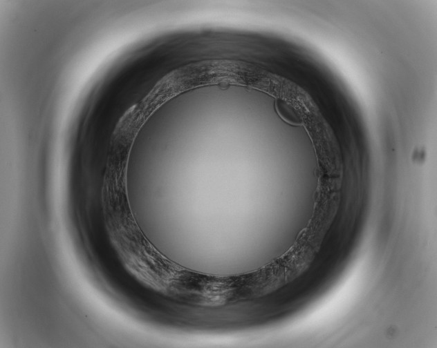 X0000098210143200805081143