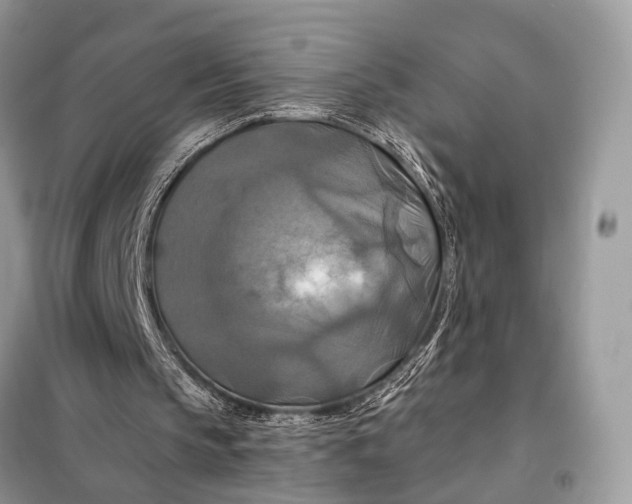 X0000098210145200805081142