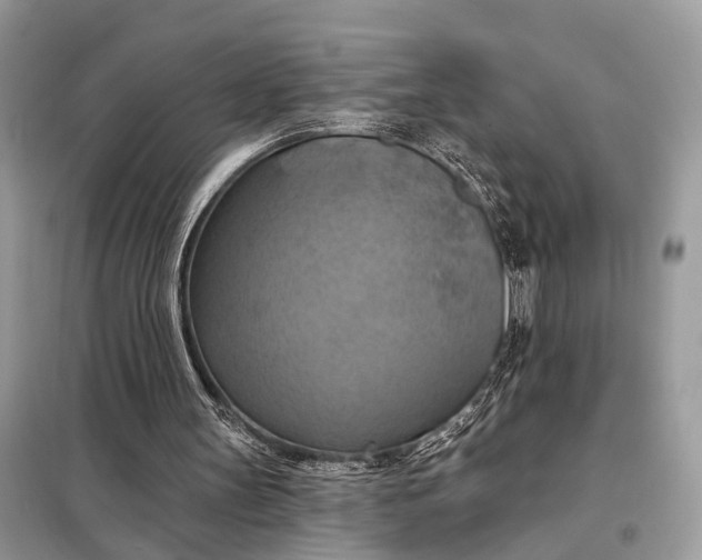 X0000098210147200805081142