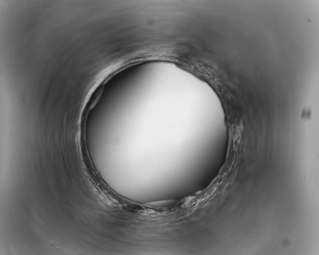 X0000098210148200805081142