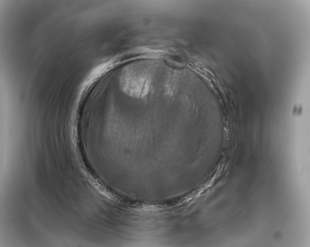 X0000098210149200805081142