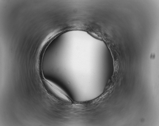 X0000098210150200805081142
