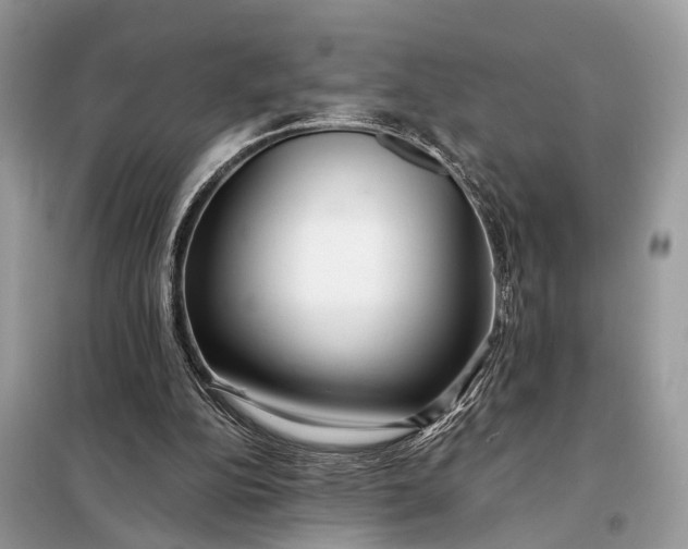 X0000098210152200805081142