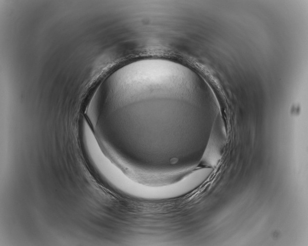 X0000098210154200805081142
