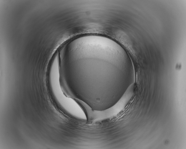 X0000098210156200805081142