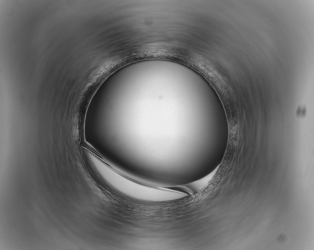 X0000098210158200805081142