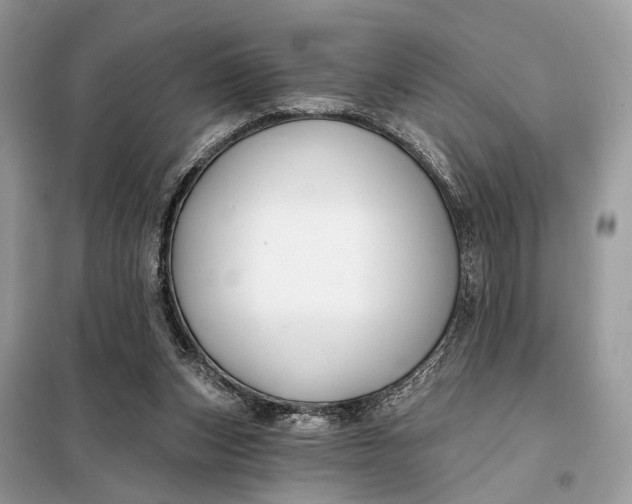 X0000098210159200805081142