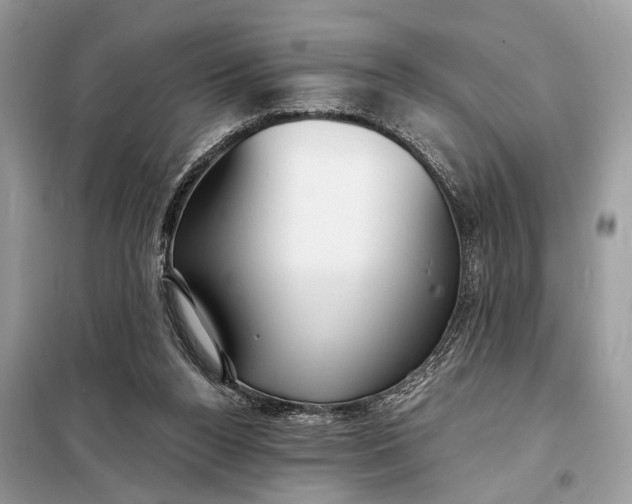X0000098210160200805081142