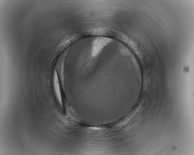 X0000098210161200805081142