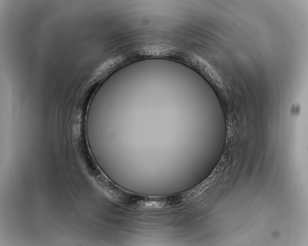 X0000098210163200805081142