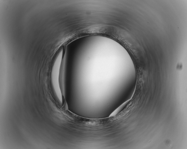 X0000098210164200805081142