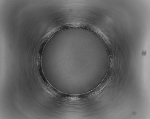 X0000098210165200805081142