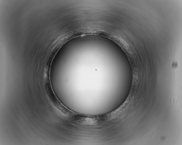 X0000098210166200805081142
