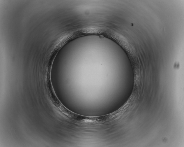 X0000098210167200805081142