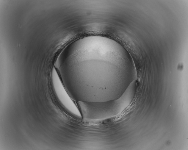 X0000098210168200805081142