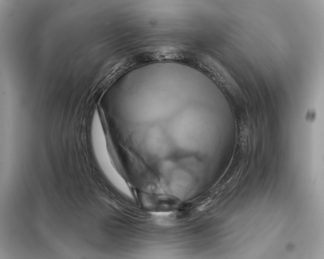 X0000098210169200805081142