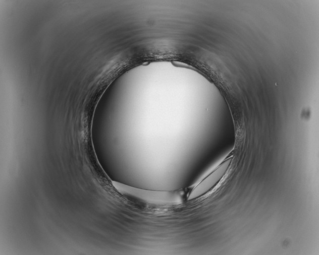 X0000098210170200805081143