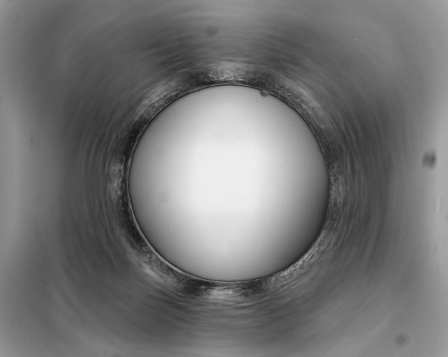 X0000098210171200805081143
