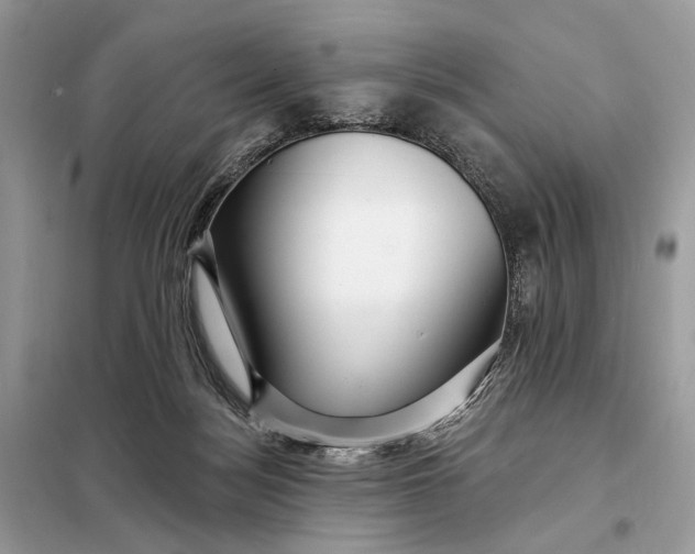 X0000098210172200805081143