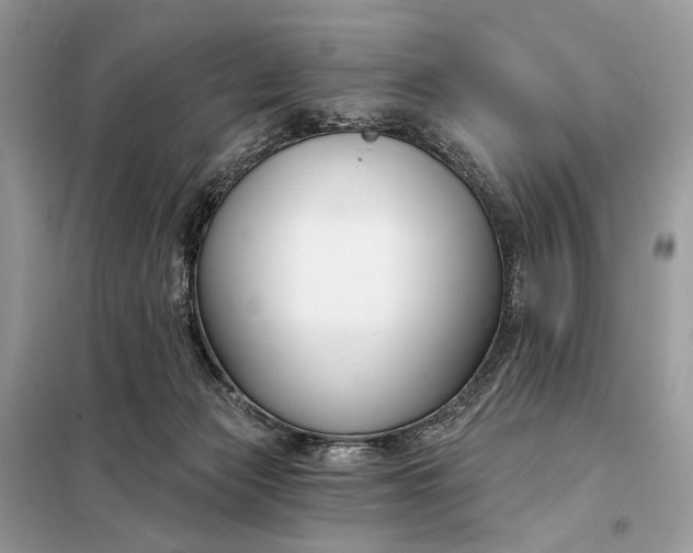 X0000098210173200805081143