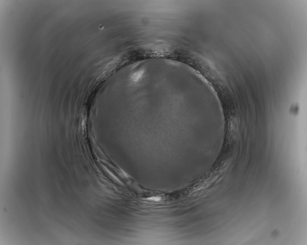X0000098210177200805081143