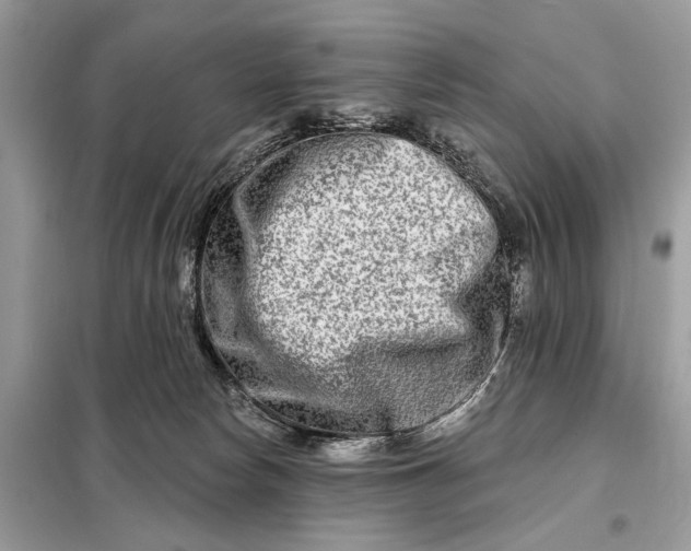 X0000098210178200805081143