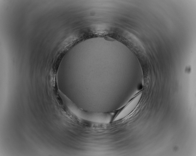 X0000098210180200805081143