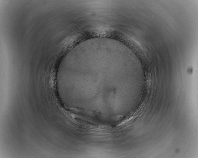 X0000098210181200805081143