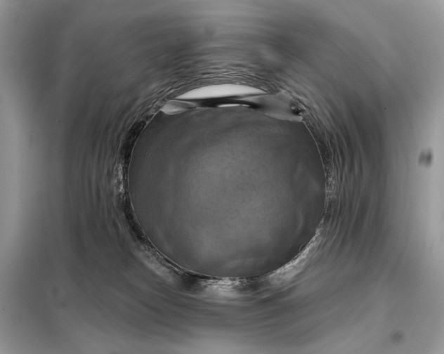 X0000098210182200805081143