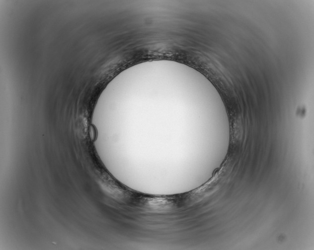 X0000098210183200805081143