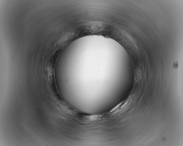 X0000098210184200805081143