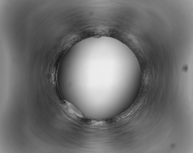 X0000098210185200805081143