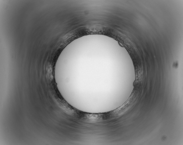 X0000098210187200805081143