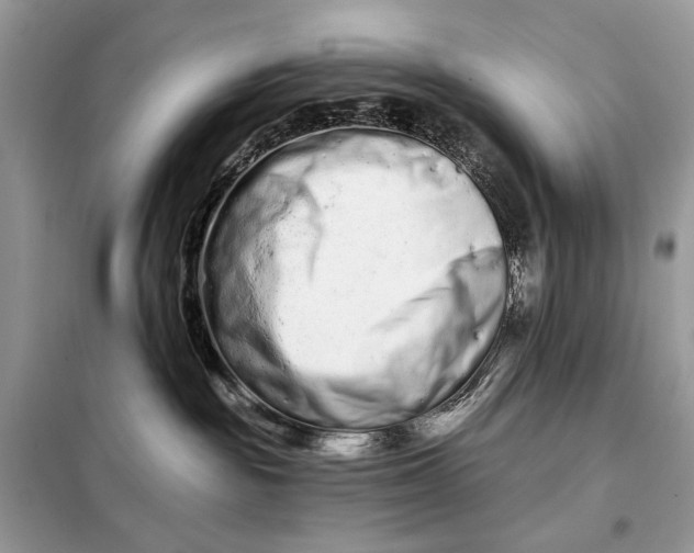 X0000098210189200805081143