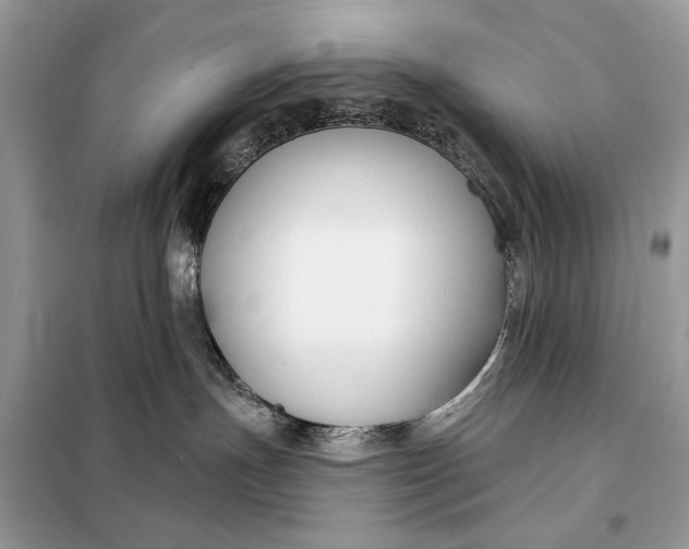 X0000098210191200805081143