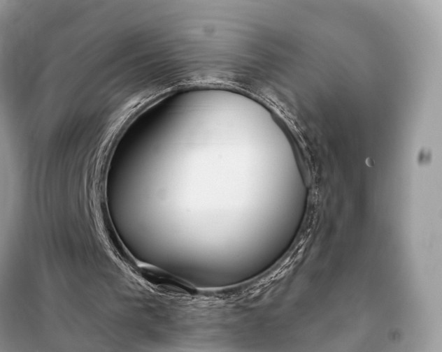 X0000098210193200805081142