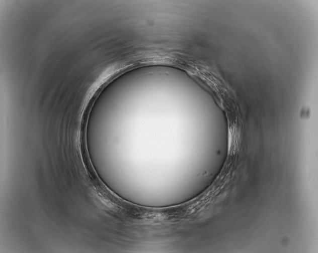 X0000098210195200805081142