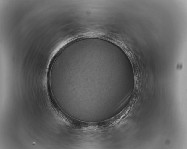 X0000098210196200805081142