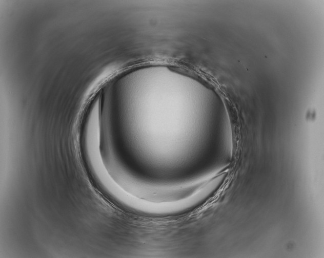 X0000098210197200805081142
