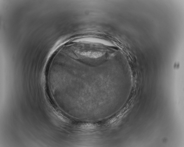 X0000098210198200805081142
