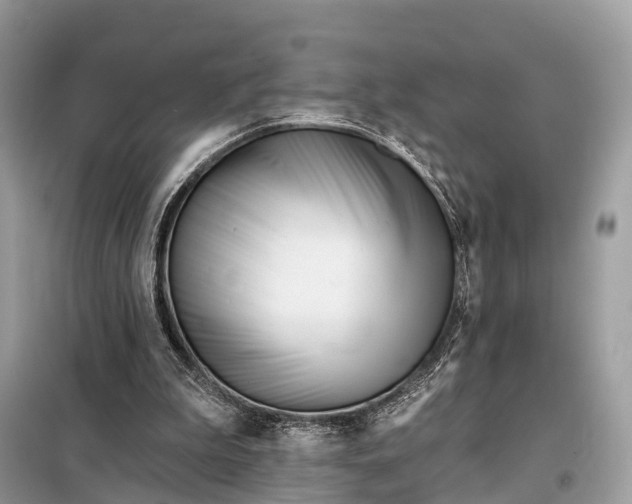 X0000098210199200805081142