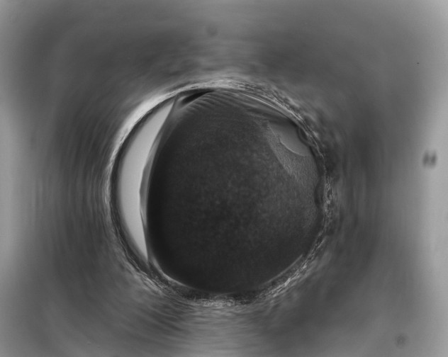 X0000098210200200805081142
