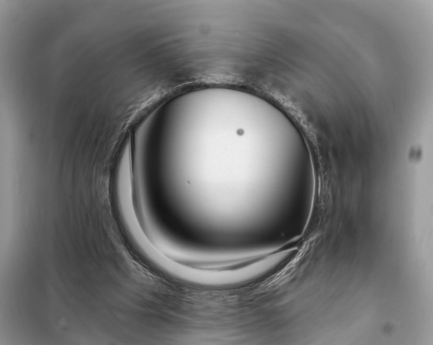 X0000098210201200805081142