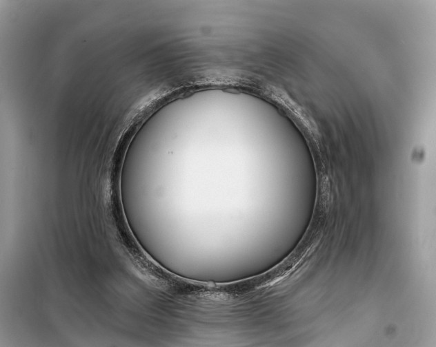 X0000098210203200805081142
